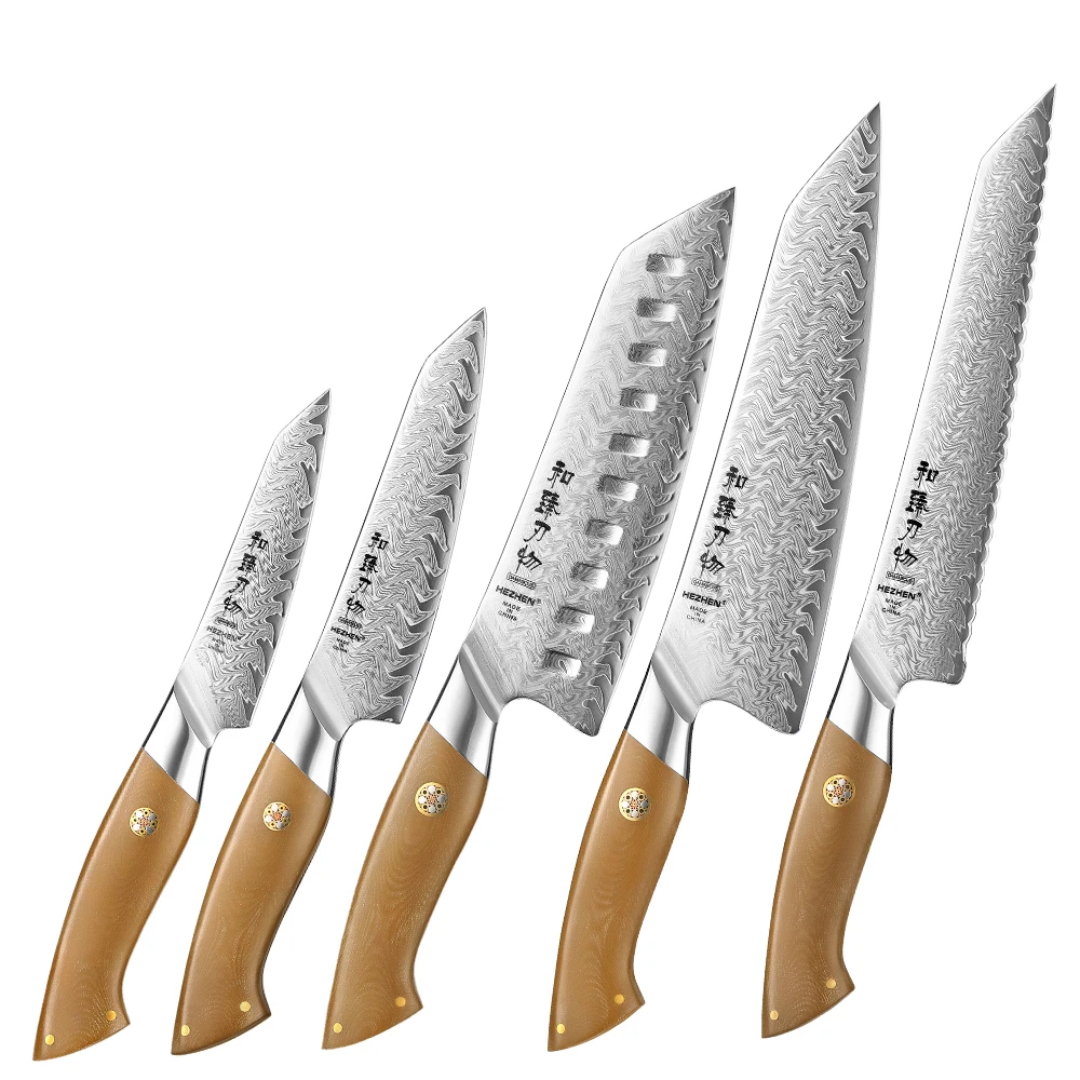HEZHEN 5-Piece 67 layers Damascus steel 10Cr15CoMoV steel Chef Knife Set with Linen Micarta Handles