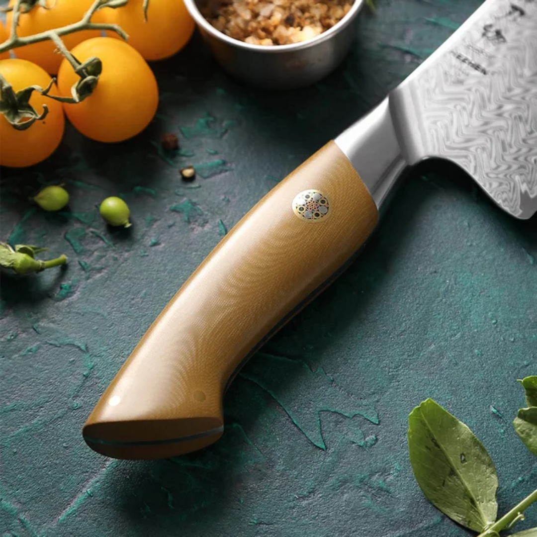 HEZHEN 5-Piece 67 layers Damascus steel 10Cr15CoMoV steel Chef Knife Set with Linen Micarta Handles