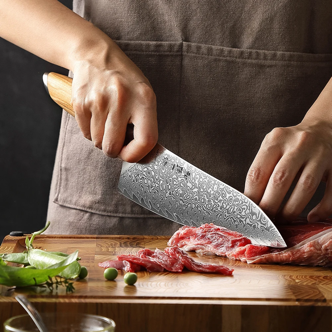 HEZHEN 8 Inch Professional Chef Knife - 73-Layer Damascus Powder Steel - Flagship Series